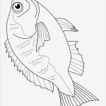Fische Zeichnen Vorlagen Erstaunlich Fisch Malvorlagen Fish Pinterest