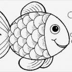 Fische Zeichnen Vorlagen Erstaunlich Marias Decoideen Windowcolor Tiere 3
