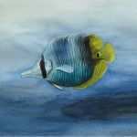 Fische Zeichnen Vorlagen Erstaunlich Tiere Malen &amp; Zeichnen Lernen