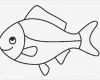 Fische Zeichnen Vorlagen Genial Fische Zum Ausmalen Raum Und Möbeldesign Inspiration