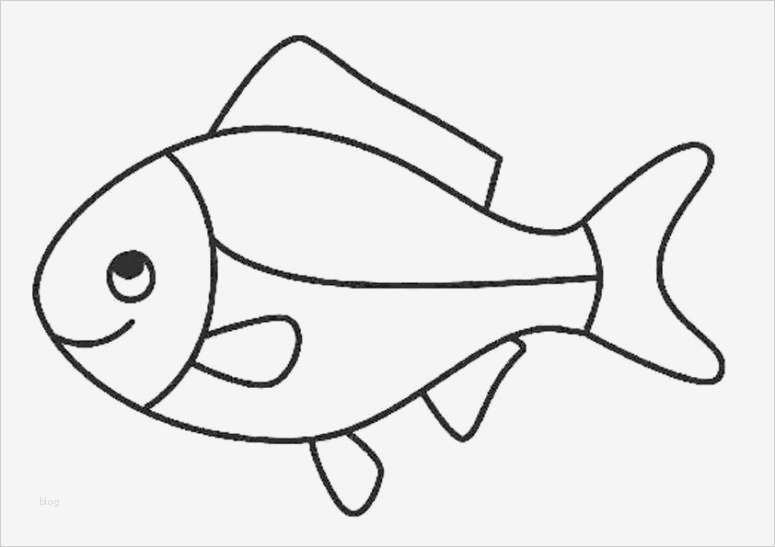 Fische Zeichnen Vorlagen Genial Fische Zum Ausmalen Raum Und Möbeldesign Inspiration