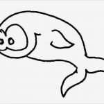 Fische Zeichnen Vorlagen Inspiration Fische