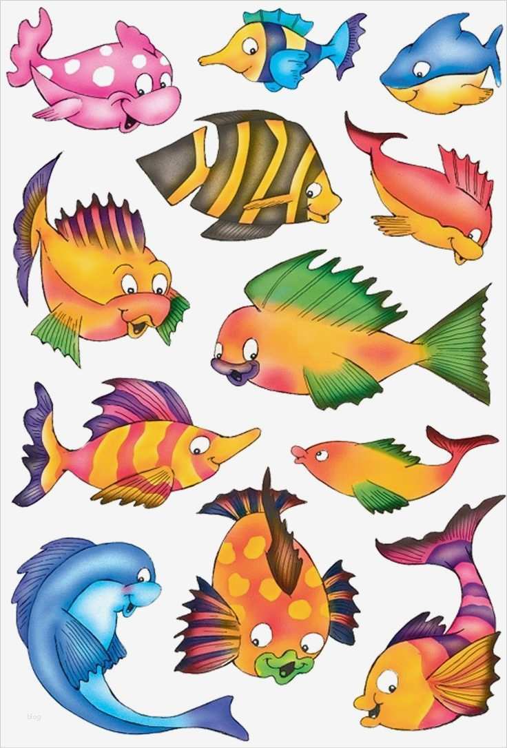 Fische Zeichnen Vorlagen Inspiration Schmucketikett Decor Bunte Fische