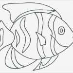 Fische Zeichnen Vorlagen Luxus Die Besten 25 Ausmalbilder Fische Ideen Auf Pinterest