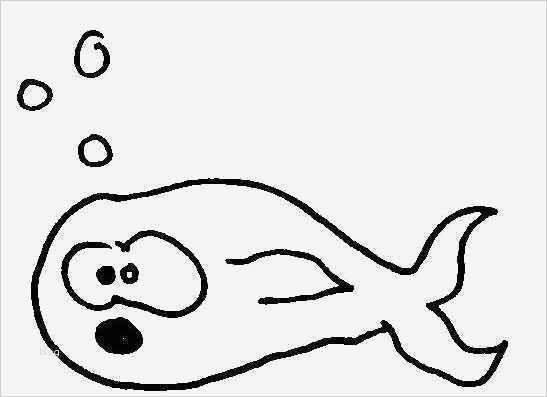 Fische Zeichnen Vorlagen Schön Fische