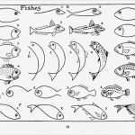 Fische Zeichnen Vorlagen Schön Fische Malen Pinterest