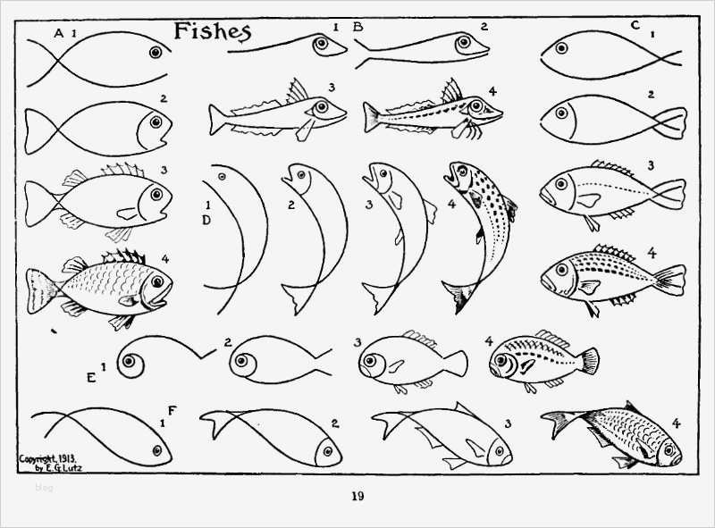 Fische Zeichnen Vorlagen Schön Fische Malen Pinterest | Vorlage Ideen