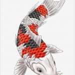 Fische Zeichnen Vorlagen Wunderbar Die Besten 25 Koi Fish Zeichnung Ideen Auf Pinterest