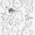 Fische Zeichnen Vorlagen Wunderbar Fische Anmalen Und Plakat Gestalten Ar