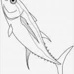 Fische Zeichnen Vorlagen Wunderbar Fische Ausmalbilder 02