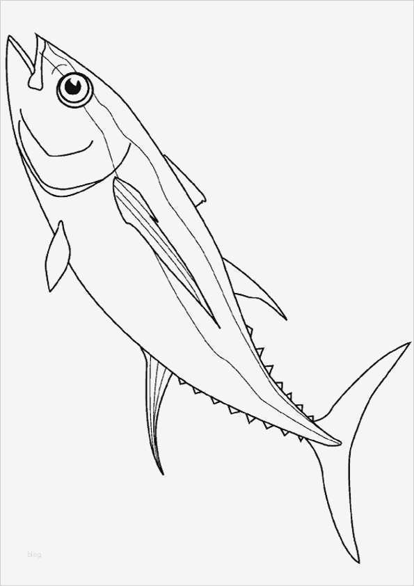Fische Zeichnen Vorlagen Wunderbar Fische Ausmalbilder 02 - Vorlage Ideen
