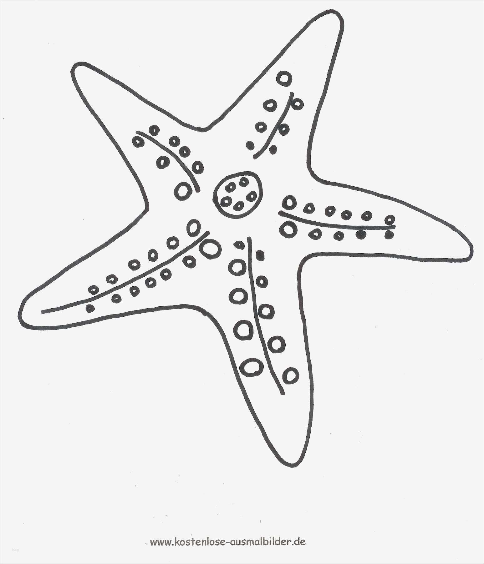 Fische Zeichnen Vorlagen Wunderbar Fische Basteln Vorlagen