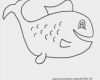 Fische Zeichnen Vorlagen Wunderbar Niedlich Fisch Vorlagen Zum Ausschneiden Galerie