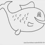 Fische Zeichnen Vorlagen Wunderbar Niedlich Fisch Vorlagen Zum Ausschneiden Galerie