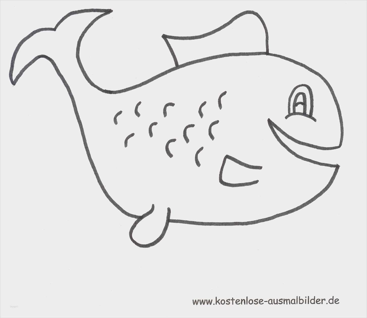 Fische Zeichnen Vorlagen Wunderbar Niedlich Fisch Vorlagen Zum Ausschneiden Galerie