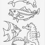 Fische Zeichnen Vorlagen Wunderbar Window Color Vorlagen Tiere