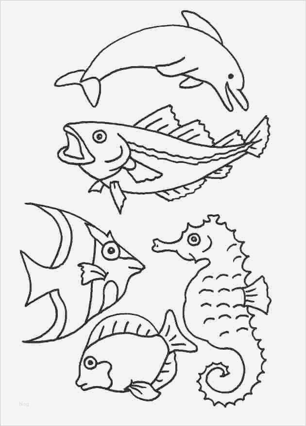 Fische Zeichnen Vorlagen Wunderbar Window Color Vorlagen