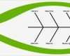 Fishbone Diagramm Vorlage Erstaunlich ishikawa Diagramm Fischgrätendiagramm