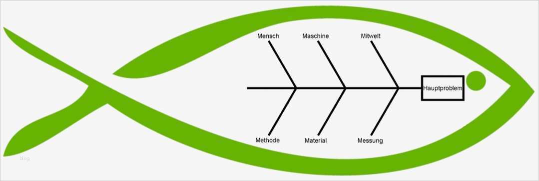 Fishbone Diagramm Vorlage Erstaunlich ishikawa Diagramm Fischgrätendiagramm