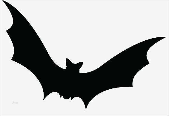 Fledermaus Vorlage Best Of Trapezblech Infos Von nordbleche Oktober 2012