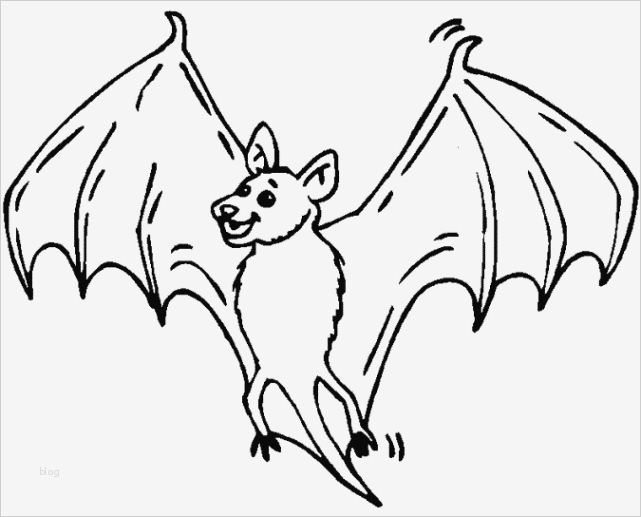 Fledermaus Vorlage Neu Ausmalbilder Fledermaus Malvorlagen Ausdrucken 2