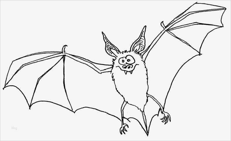 Fledermaus Vorlage Neu Fledermaus