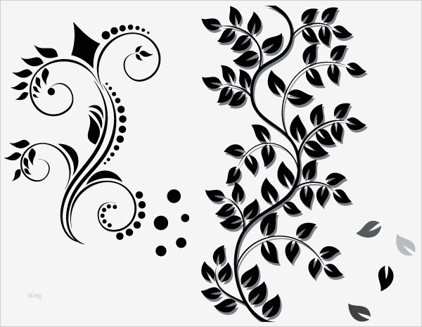 Florale ornamente Vorlagen Kostenlos Großartig Floral ornament Vector Free Download