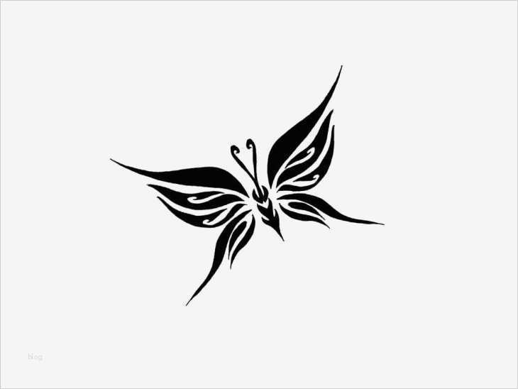 Flügel Tattoo Vorlage Genial Die Besten 25 Schmetterlingsflügel Tattoo Ideen Auf