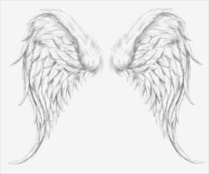 Flügel Tattoo Vorlage Süß Engel Tattoo Designs Mit Bedeutungen 28 Ideen & Vorlagen