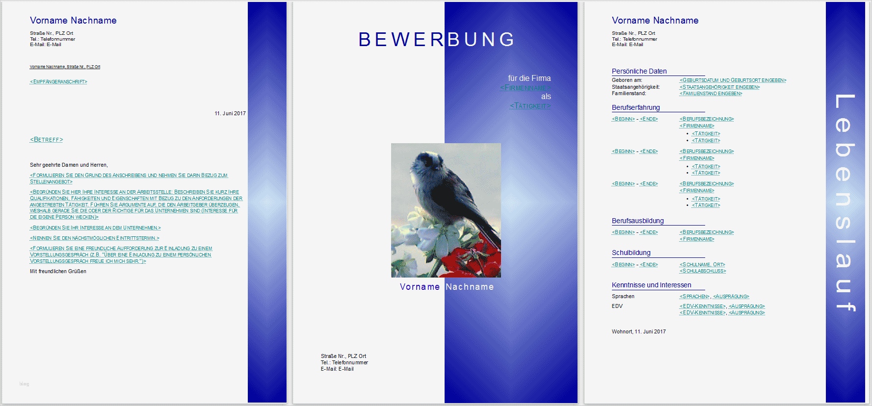 Flussdiagramm Word Vorlage Download Neu Bewerbungsvorlagen Für Libreoffice