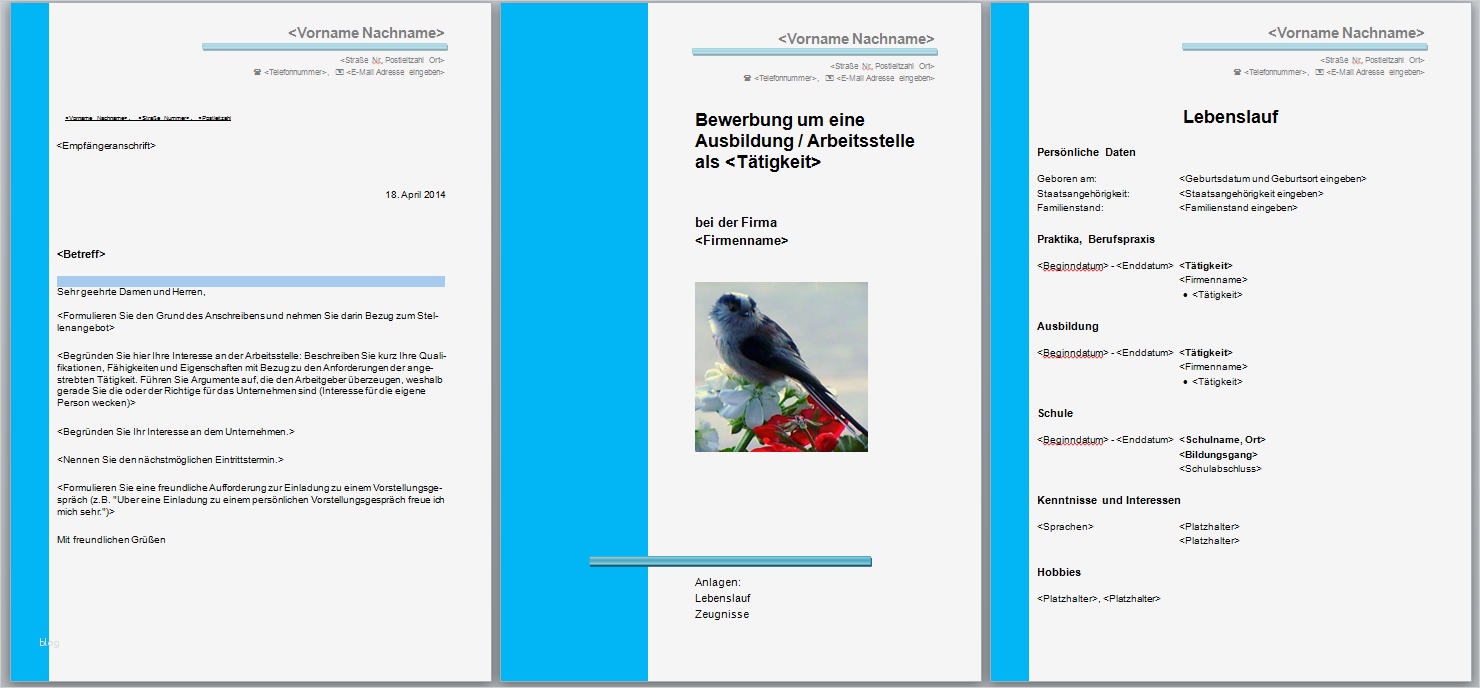 Flussdiagramm Word Vorlage Download Wunderbar Bewerbungsvorlagen Word 2010