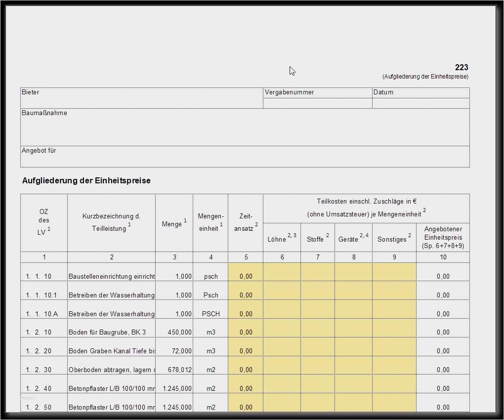 Formblatt 221 Excel Vorlage Neu Beste Hoshin Kanri Vorlage Zeitgenössisch Entry Level