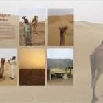 Fotobuch Vorlagen Indesign Inspiration Ein Fotobuch Gestalten Ein Tutorial In 12 Kapiteln