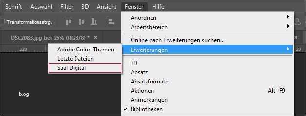 Verwendung des Saal Digital Plugins unter InDesign shop