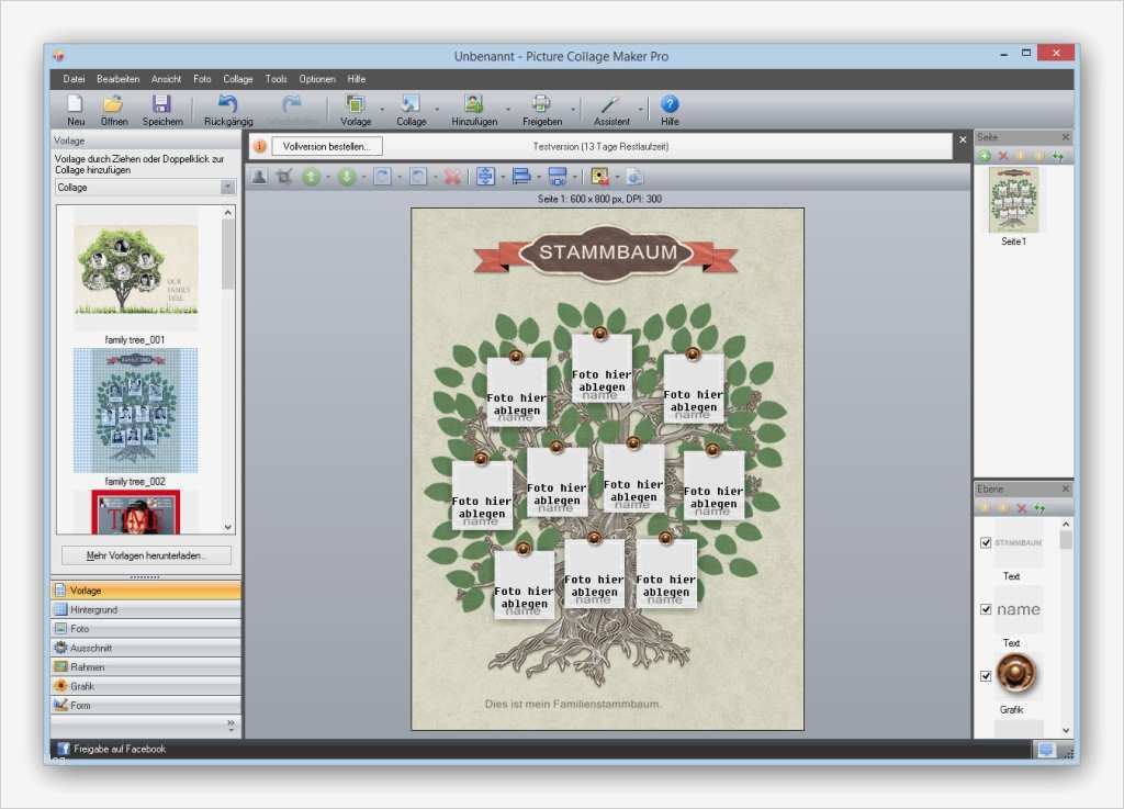 Fotocollagen Vorlagen Neu Picture Collage Maker Pro Pc & Mac Kaufen Gutschein