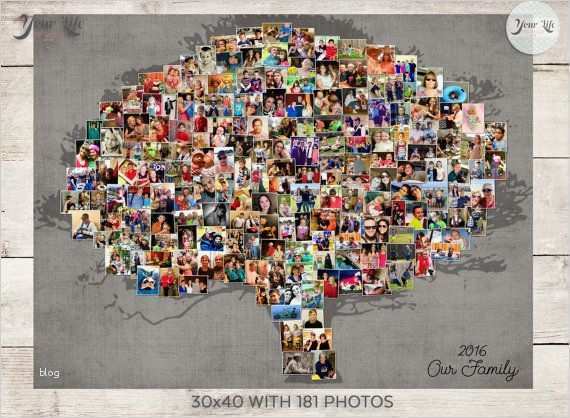 Fotocollagen Vorlagen Wunderbar Stammbaum Wand Foto Bilder Collage Familie Ahnenforschung