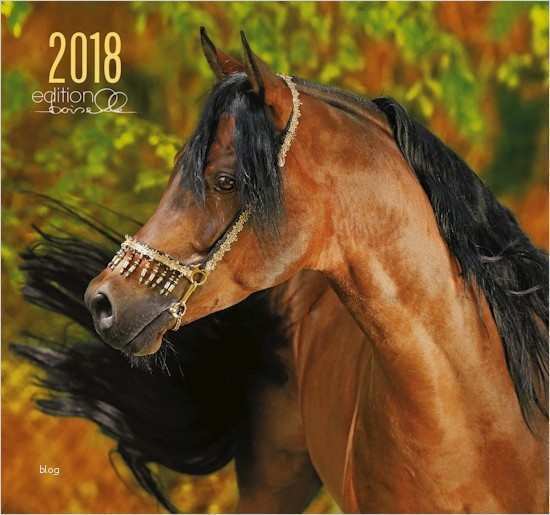 Fotokalender Vorlage 2018 Erstaunlich Fascination 2018 Kæmpe Fotokalender 58×62 Cm