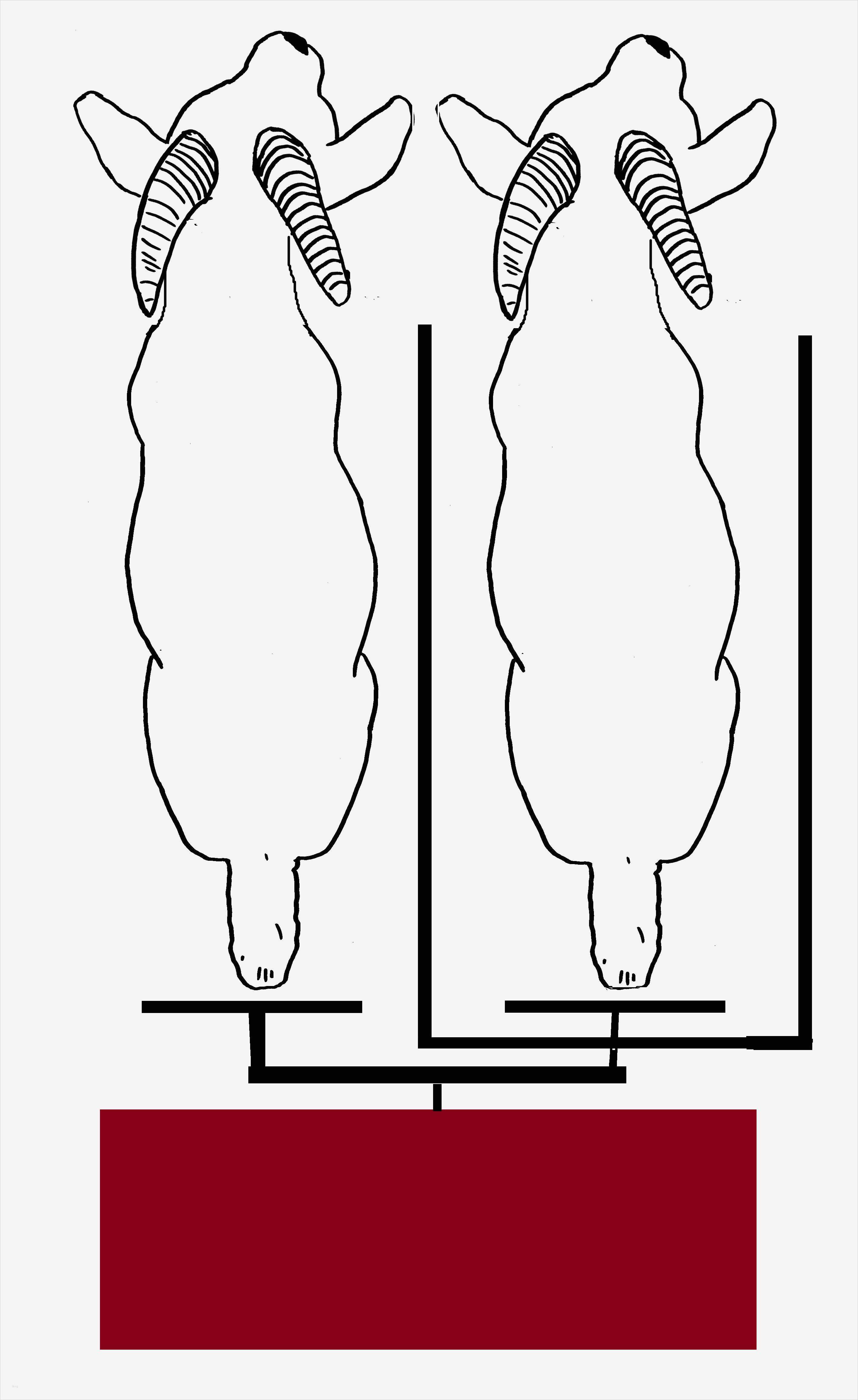 Fotomasken Vorlage Genial atemberaubend Ziege Maske Vorlage Zeitgenössisch Entry