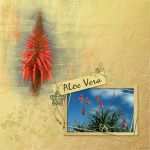 Fotomasken Vorlage Großartig Ellen S Scrapbooking 6