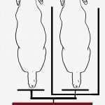 22 Fabelhaft Fotomasken Vorlage Ideen 52 Fotomasken Vorlage Hübsch atemberaubend Ziege Maske Vorlage Zeitgenössisch Entry