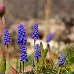 Fotomasken Vorlage Inspiration Ellen S