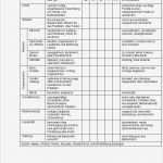 Fragebogen Erstellen Vorlage Inspiration Charmant Fragebogen Vorlage Fotos Vorlagen Ideen