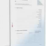 Fragebogen Vorlage Schön Beste Lieferantenfragebogen Vorlage Bilder Entry Level