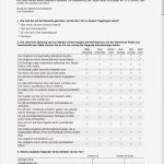 Fragebogen Word Vorlage Süß 9 3 Fragebogen