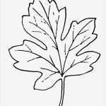 Frames HTML Vorlagen Bewundernswert Fensterbilder Für Den Herbst Basteln 25 Ideen Und Vorlagen