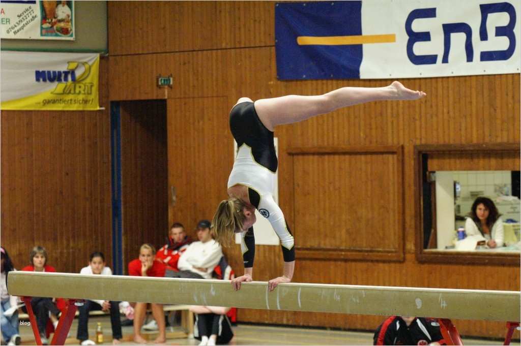 Frankfurter Testament Vorlage Hübsch Businessplan Vorlage Download Kostenlos Lebenslauf Muster