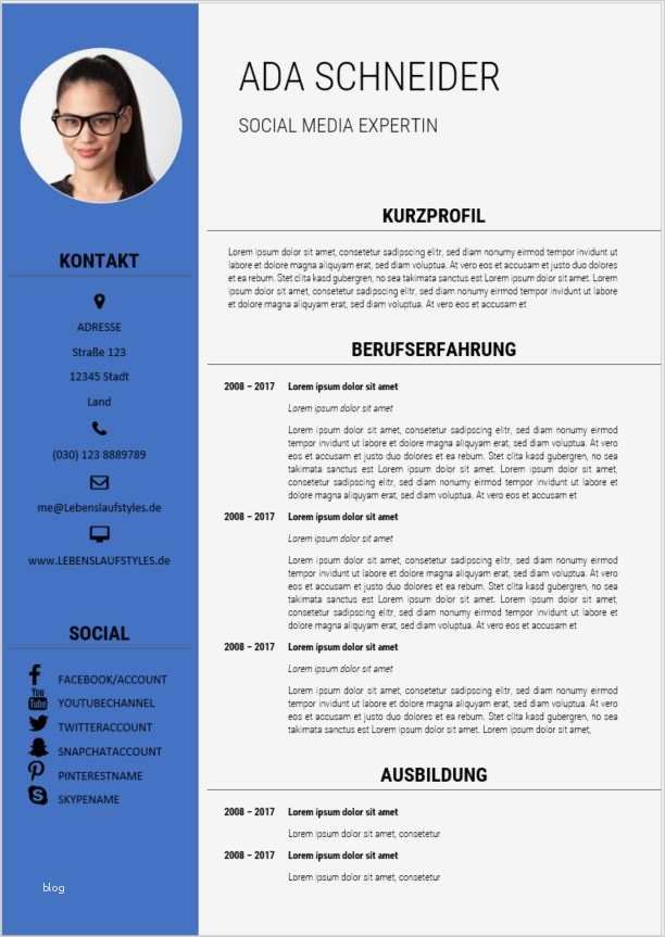 Freelancer Profil Vorlage Word Gut Bewerbungsmuster Kostenloser Download