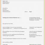 Fristlose Kündigung Vorlage Arbeitnehmer Einzigartig 5 Fristlose Kündigung Arbeitnehmer