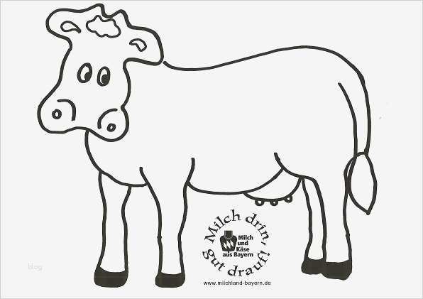 Frühstücksgutschein Vorlage Gut Beste Kuh Druckvorlage Ideen Entry Level Resume Vorlagen