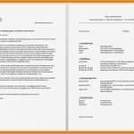 Fsj Bewerbung Vorlage Best Of 13 Fsj Bewerbungsschreiben